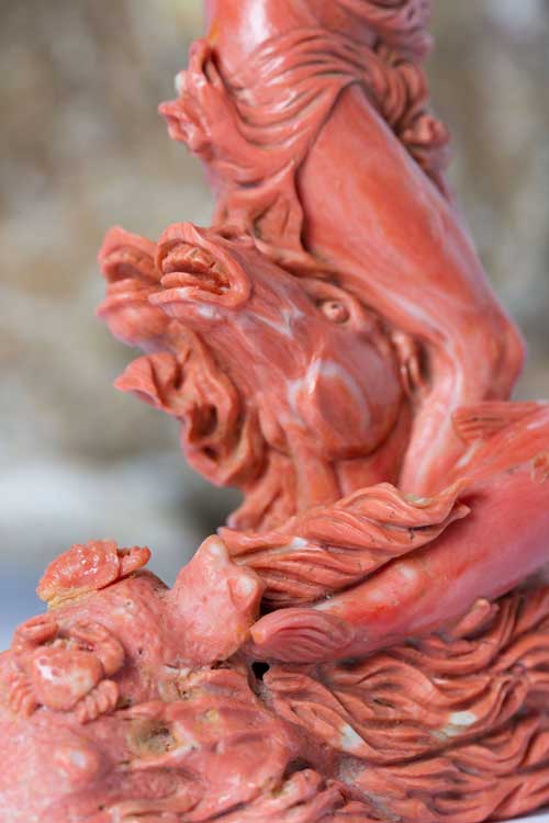 Coral Orafa Mediterranea