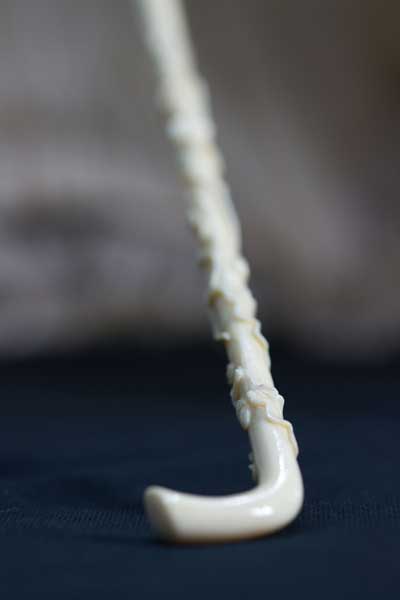 Coral Orafa Mediterranea