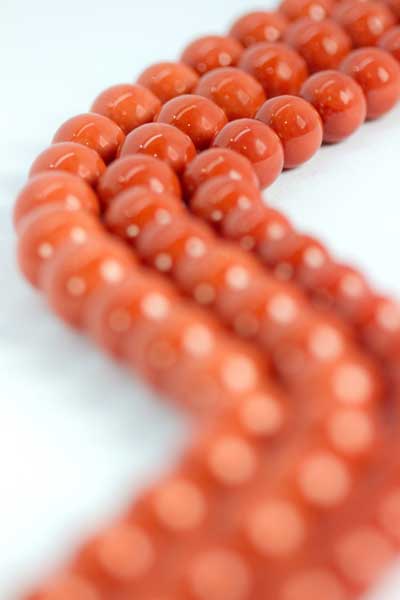 Coral Orafa Mediterranea