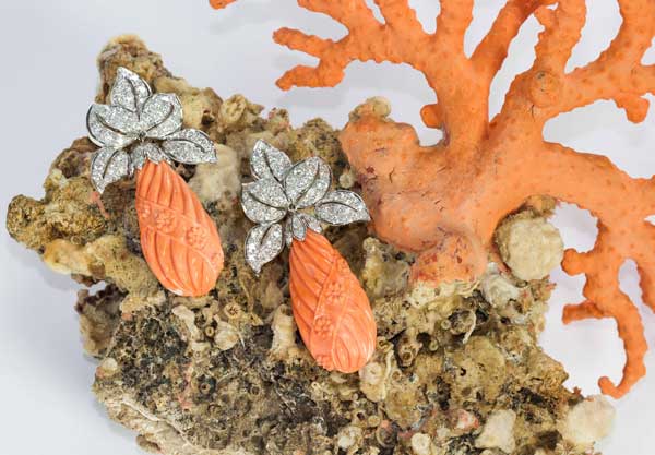 Coral Orafa Mediterranea