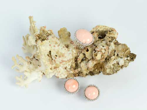 Coral Orafa Mediterranea