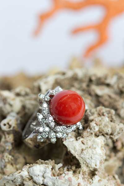 Coral Orafa Mediterranea